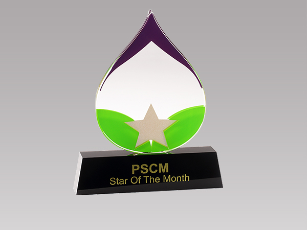 亞克力獎(jiǎng)牌 BY-BP13